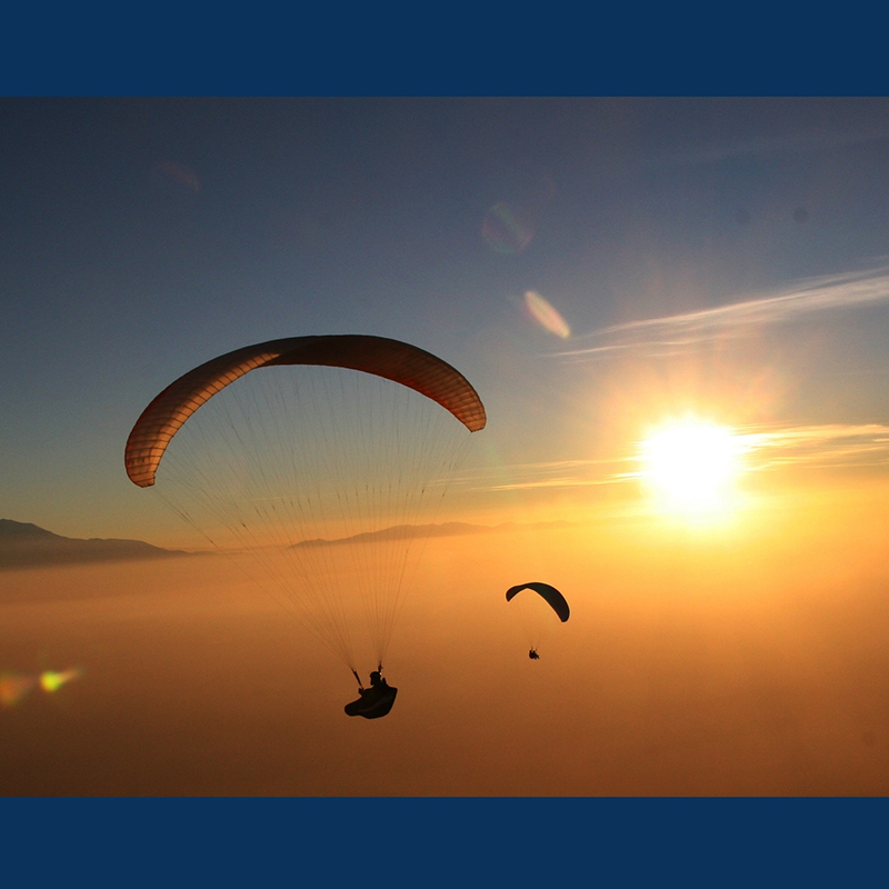 Ապրանքի անուն