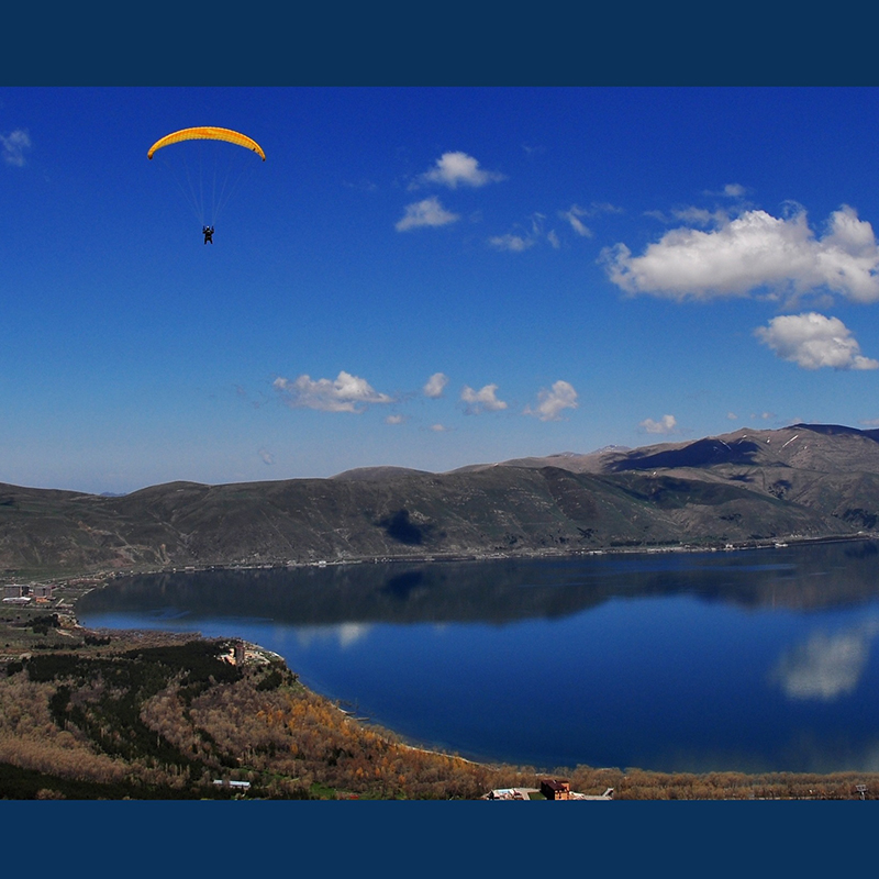 Ապրանքի անուն