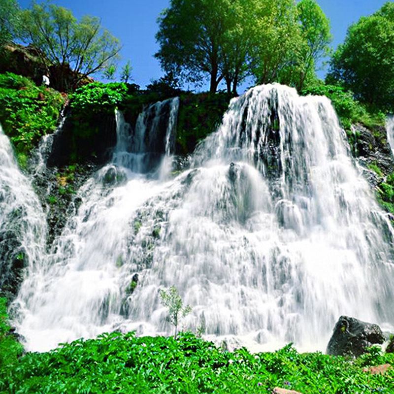 Ապրանքի անուն