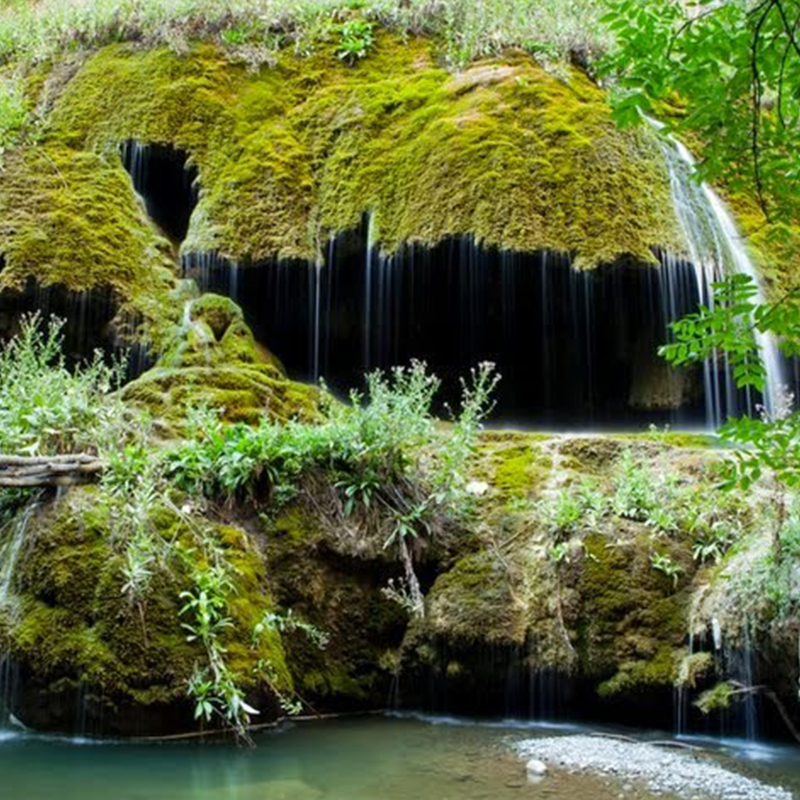 Ապրանքի անուն